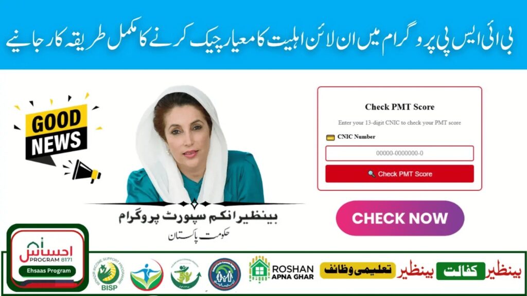 Check BISP Balance Online by CNIC – July 2025 Payment Status